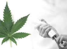 Extracto de plantas de marihuana reduce los ataques epilépticos a la mitad